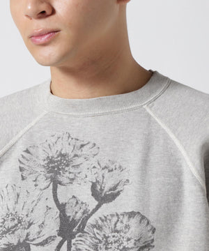 ce5243bc-da77-55e1-8621-9f3b360d3a15_Image