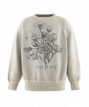 d8ca278b-bb6d-514a-8820-cb51fb789569_Image