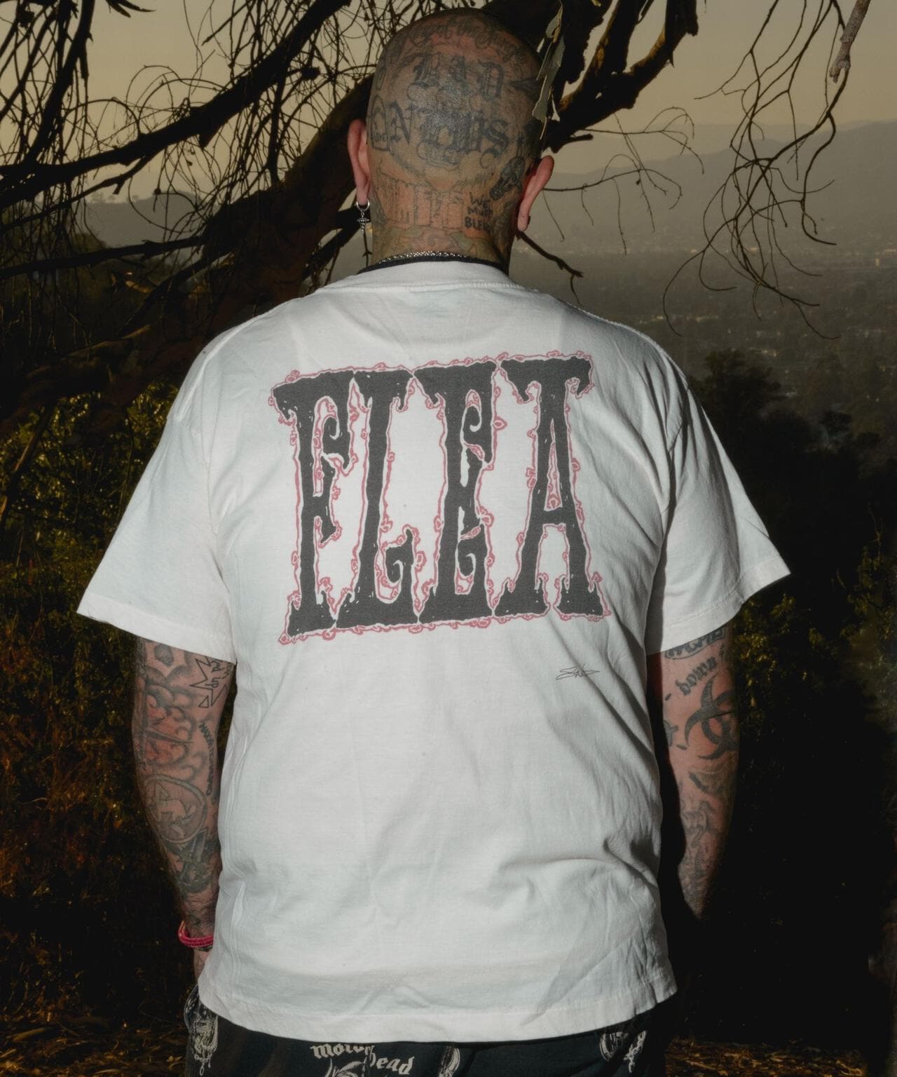 224764e3-0ba6-5b1e-9d87-578eb560f121_Image