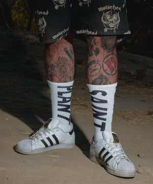 5cdcf886-a13a-5df0-b966-7de2b9c90494_Image