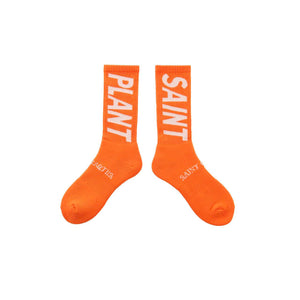 2bd15cc5-29ac-5c25-b074-99e49b0e2e9e_Image