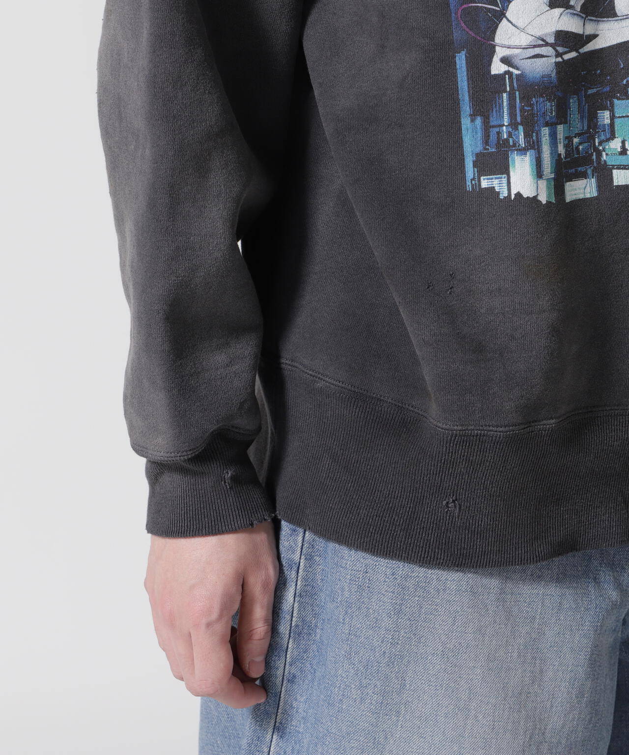 SAINT MICHAEL/セントマイケル/GS_CRW-N SWT/GST IN THE S | ROYAL