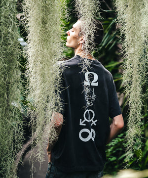 2bbb6705-111c-54f1-a5e7-3f4b39cac426_Image