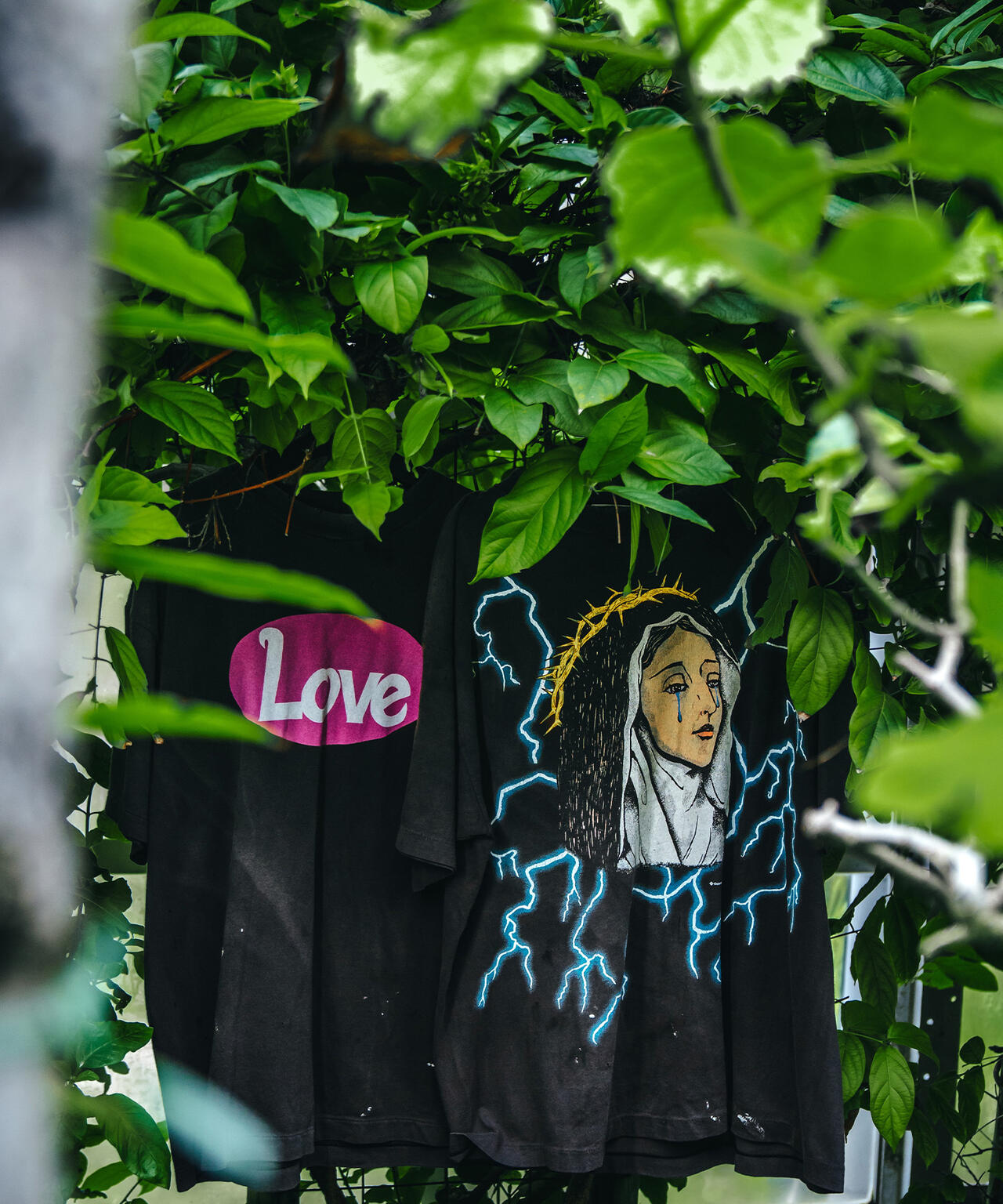 f5f1b47b-3ca9-50b9-bf77-1585d8906908_Image