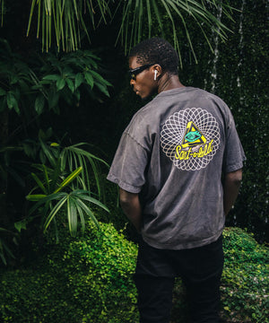 d288ff3e-d884-54a1-9146-78b6e89df968_Image