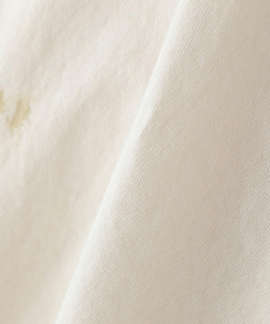 a5e70dd6-392a-54b4-ace1-a01ece1e8362_Image