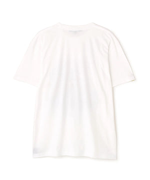 13fa4121-b693-50da-b940-b121efe0669a_Image