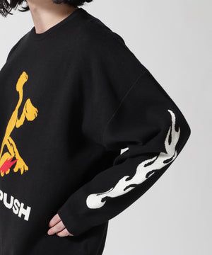 2dd817f9-695a-59d0-af61-c93ffc90712f_Image