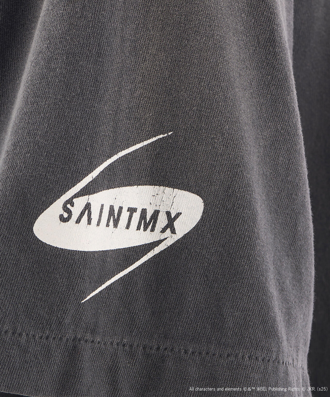 SAINT MICHAEL/セントマイケル/HP_SS TEE/CHAMBER OF SCRT /BLACK