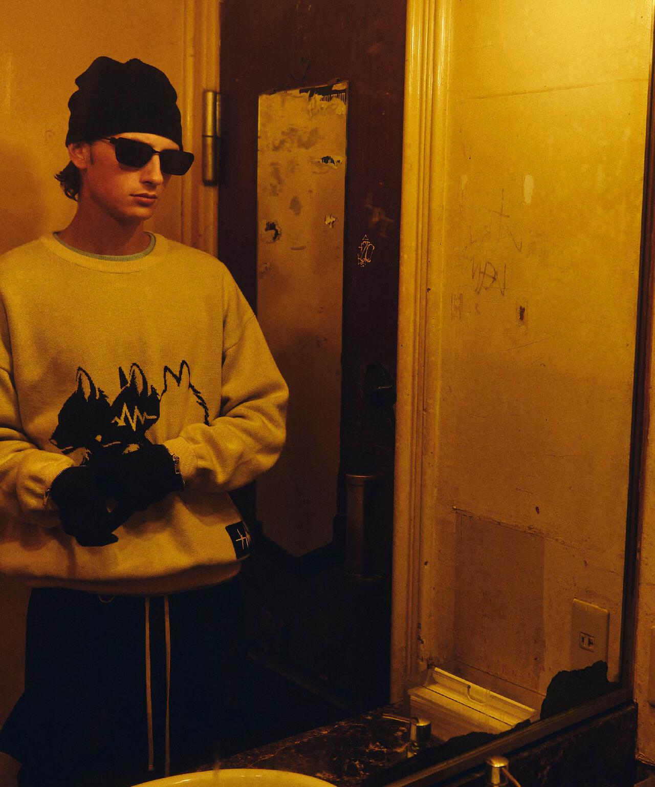 FR(13)NDS/フレンズ/Wolf M KNIT