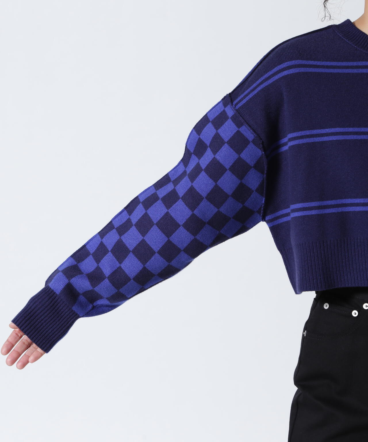 AULA AILA/アウラアイラ/別注マルチボーダー2WAYニット | ROYAL FLASH