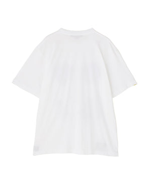 4873cd27-8641-561c-aabe-dd1da5e39f33_Image