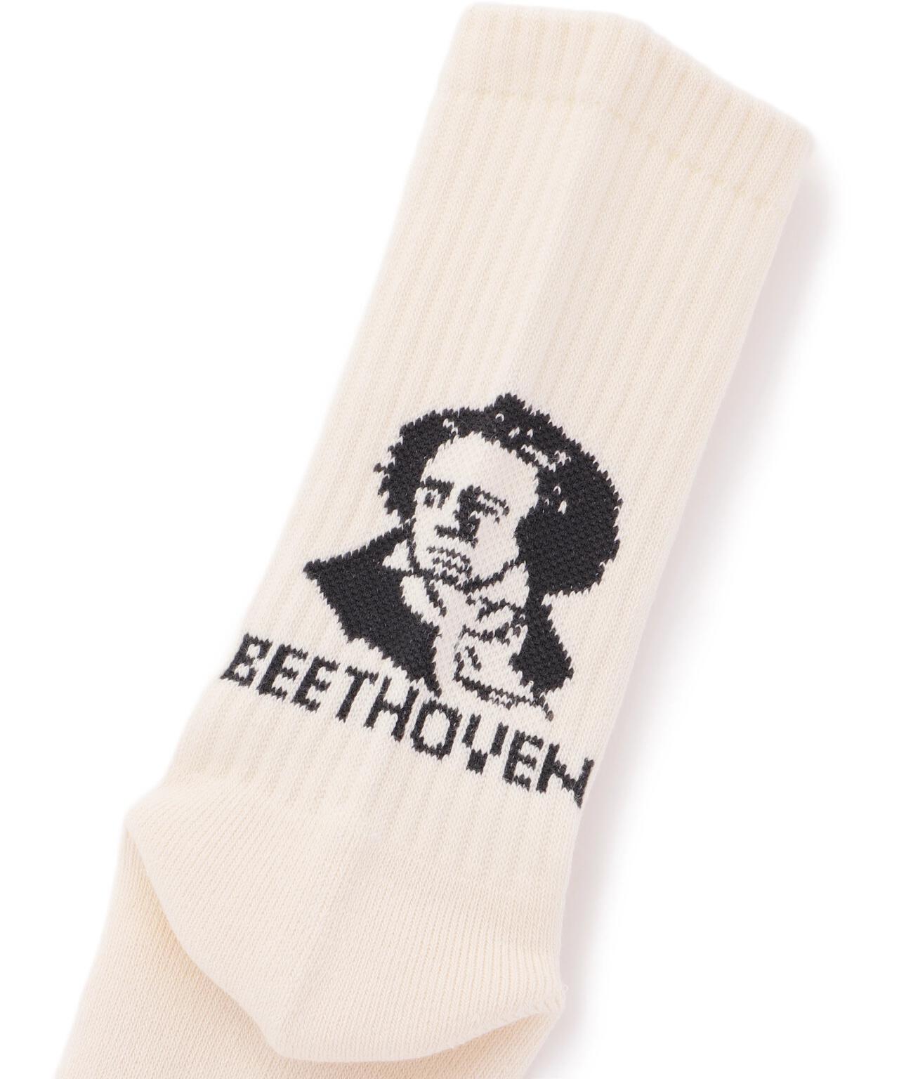 ROSTER SOX/ロスターソックス/BEETHOVEN SOX | ROYAL FLASH