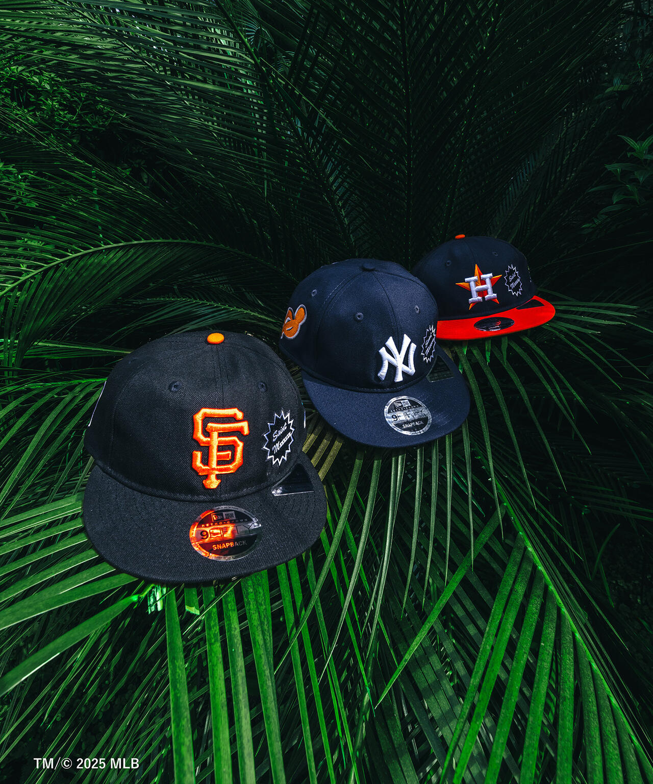 97a6e90a-89f6-5311-9d73-9e70db76a80c_Image