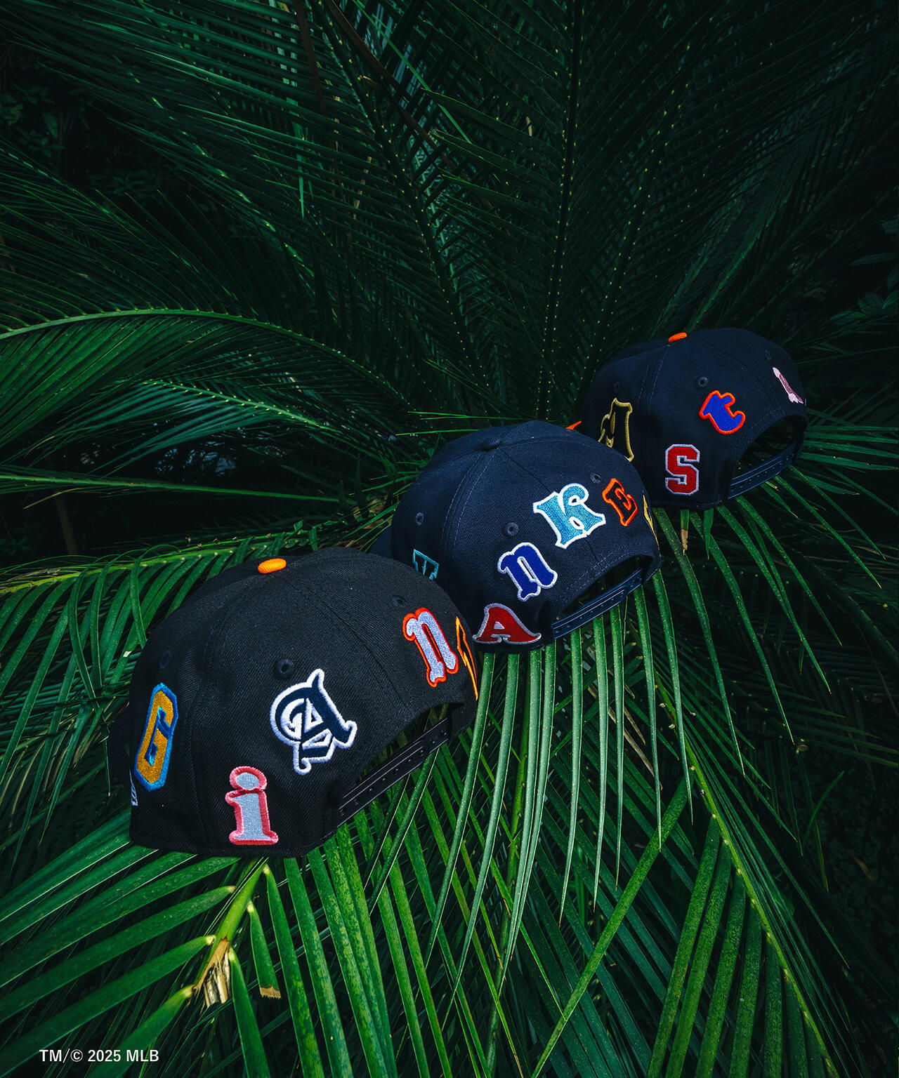 89c7b7c1-8dbf-5ba6-8c53-6c66b2e549fa_Image