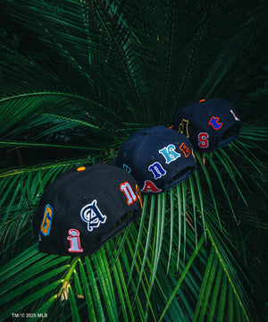 89c7b7c1-8dbf-5ba6-8c53-6c66b2e549fa_Image