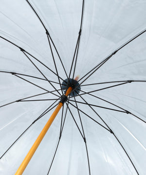 4a9cb2fc-e387-57c9-81f1-a43b515d0a2f_Image