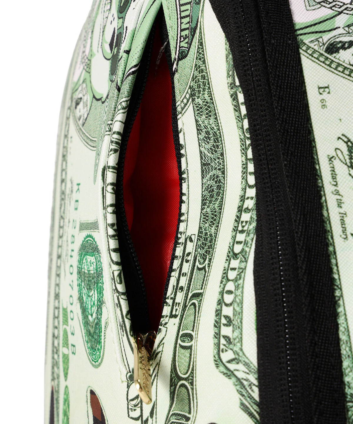 SPRAY GROUND/スプレーグラウンド/MONEY DRIPPIN DOLLARS BACKPACK