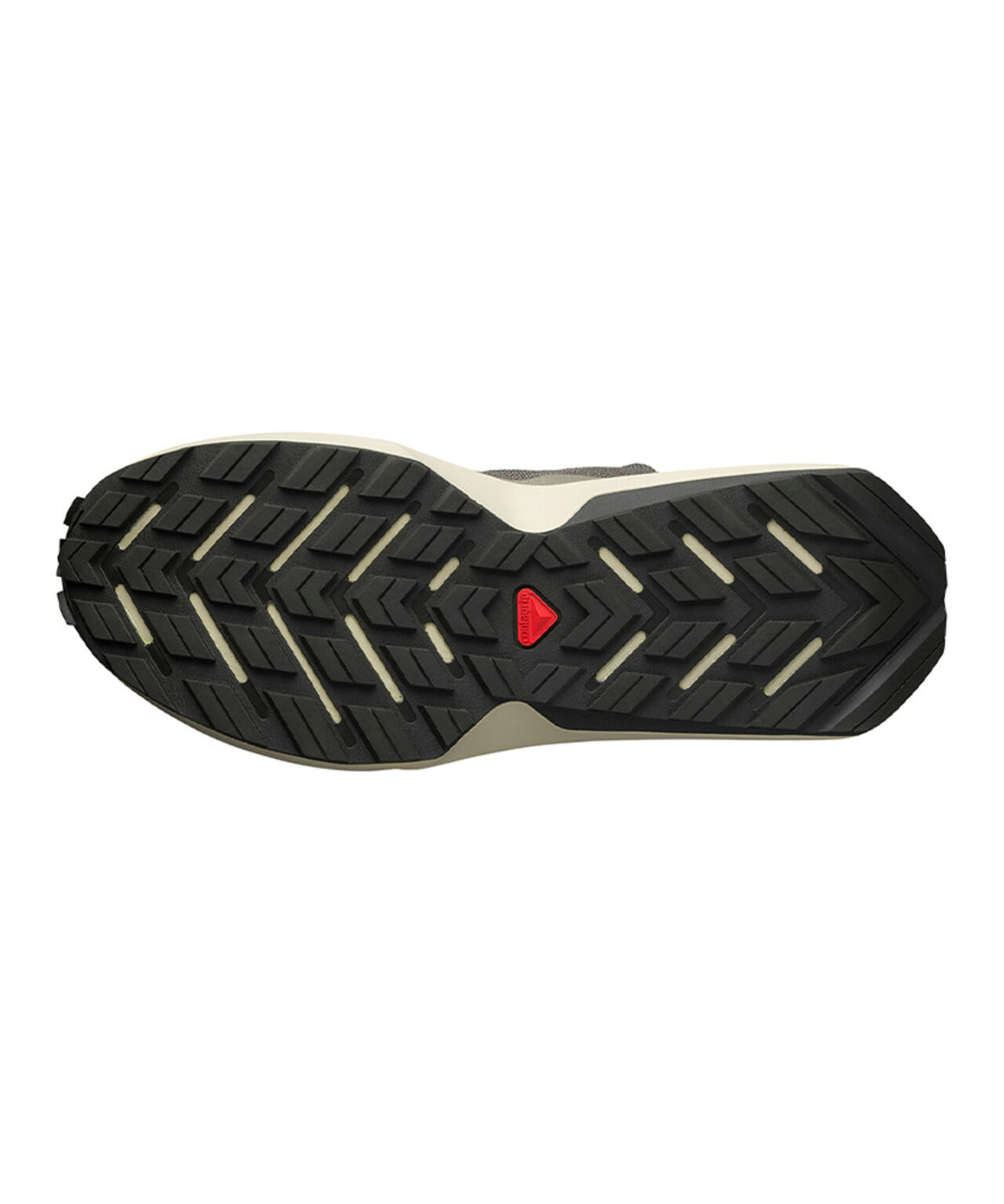 d57f4739-5a7c-58f9-99b2-e235fd664486_Image