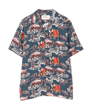 30f54ac5-6c4a-5aa8-9160-96f0a5c3e758_Image