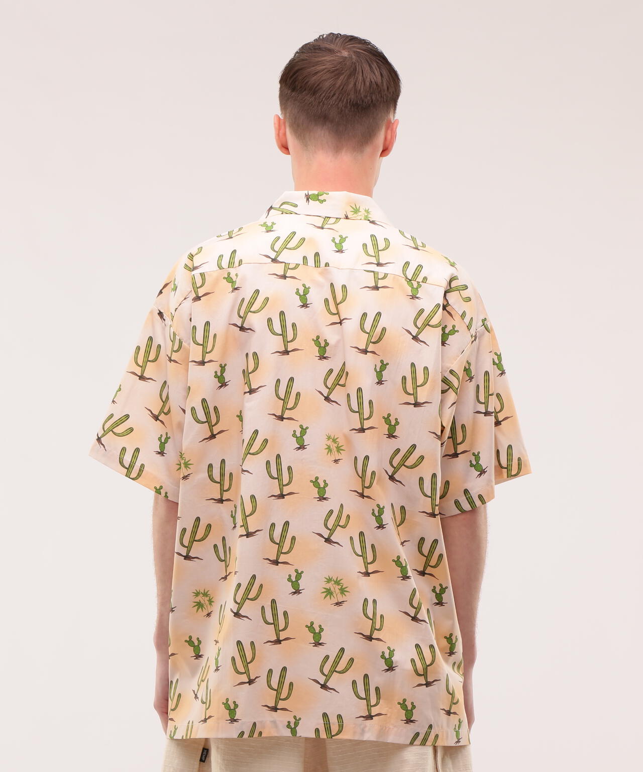 2d2c5cbc-4e07-536a-96f3-151c906e79fa_Image