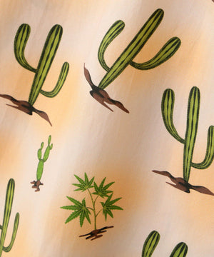 cd647566-8353-5fe6-bab5-cc22d87d1cb1_Image