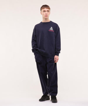 43f89d56-fae3-54cd-a262-2bd9c5effdee_Image