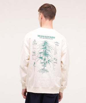 7a1bfec5-50d9-5786-998f-e7d1b02a3d35_Image