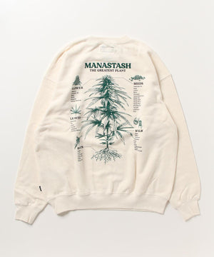 2de73b1c-1782-5cc4-94c4-0b56fbaaf752_Image