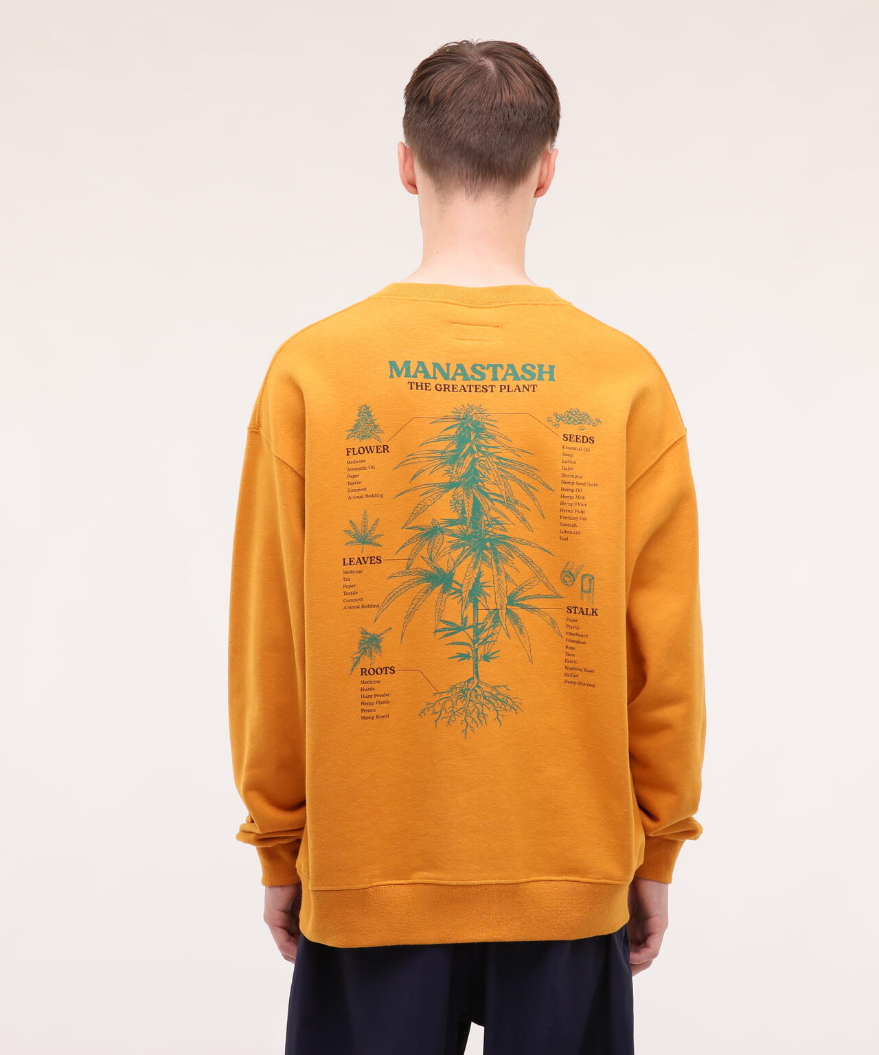 bbf62b95-d827-5fdd-bdf7-b01448b3edb5_Image