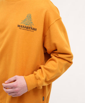 98b4f4b7-10c0-542c-b2e9-efe872930d3c_Image