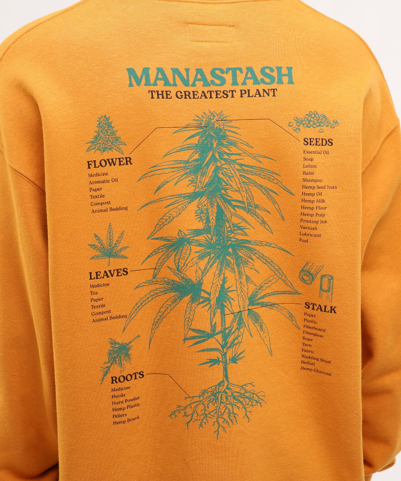 de47306a-8bd0-58cb-b916-b98423ae609b_Image