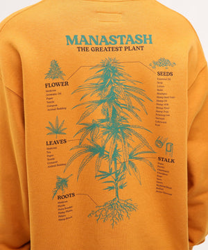 de47306a-8bd0-58cb-b916-b98423ae609b_Image