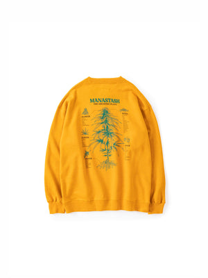 c543fc3e-0622-5414-9250-f80d96de299c_Image