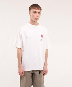 091146bf-6b11-5937-b04d-2d39a27f223f_Image