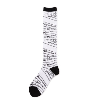 d64806b0-5178-51a7-906a-e9ff1a266ae8_Image