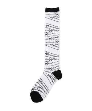 36e98652-237f-511e-ad2e-d7a6ce58ada5_Image