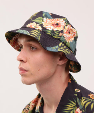 d127ad7b-0eb5-58e2-87c2-0f5b29b61bb1_Image