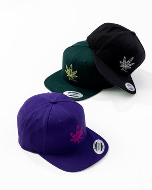 ca34221b-fe71-56d3-bf80-e0b105557866_Image