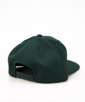 1e861357-c111-5af6-981d-a53e55472559_Image