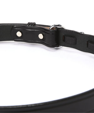 25662f8b-270c-521d-8f38-ceffa9b5f49f_Image