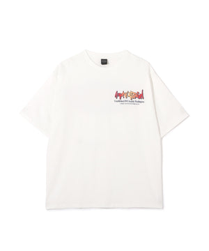 d103dd1e-a762-55e2-98d0-d2bff60fe2ce_Image