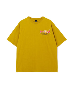 9d00ed21-e898-5b91-8354-f486504813e7_Image