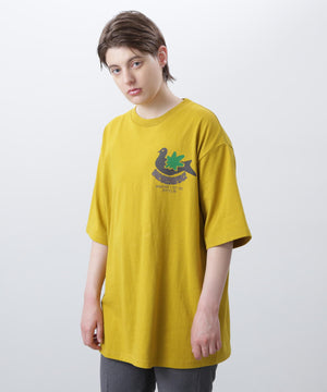 be89abc4-63bb-5006-a89b-c04ed6610337_Image