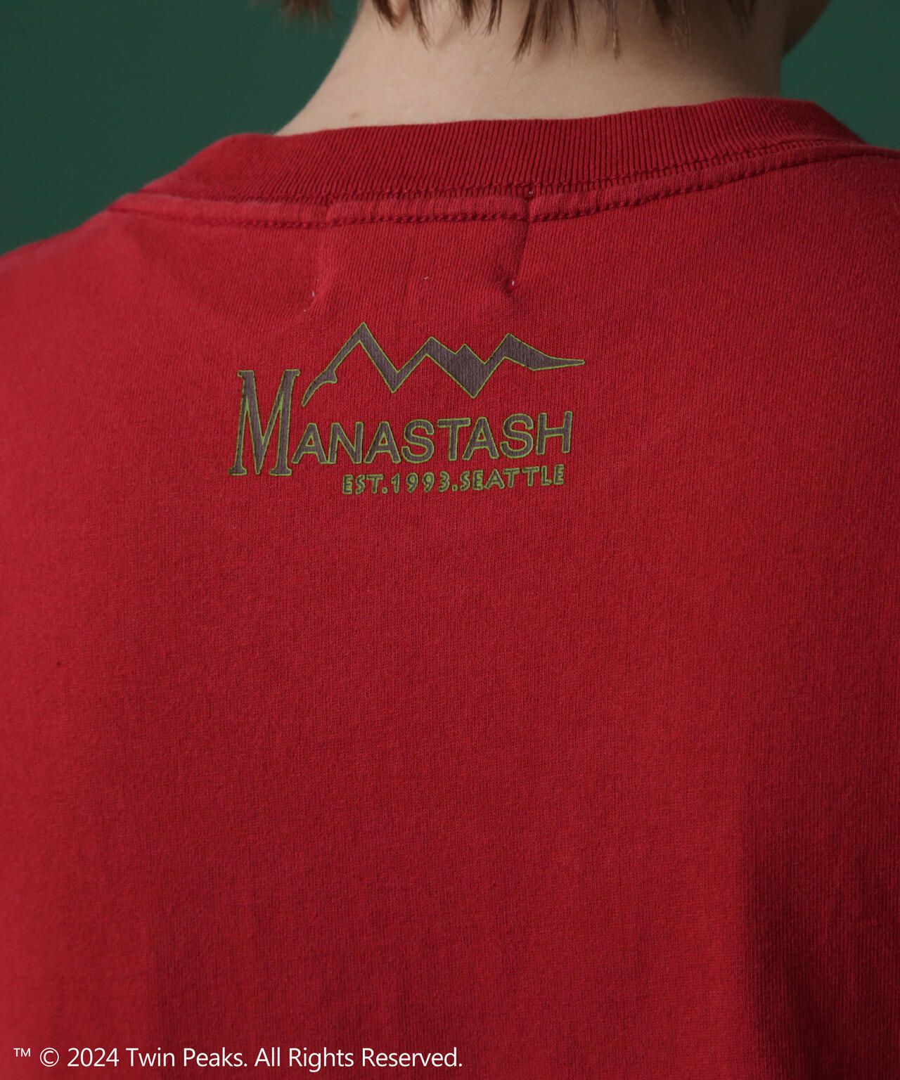 MANASTASH/マナスタッシュ/TWIN PEAKS TEE 01/ツイン・ピークスTシャツ