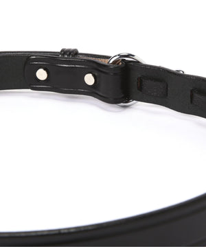 9ccff889-8c72-5a5f-b459-4b03b1b4df27_Image