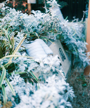 539a6ba7-4fc9-549b-8383-3a46af89698a_Image