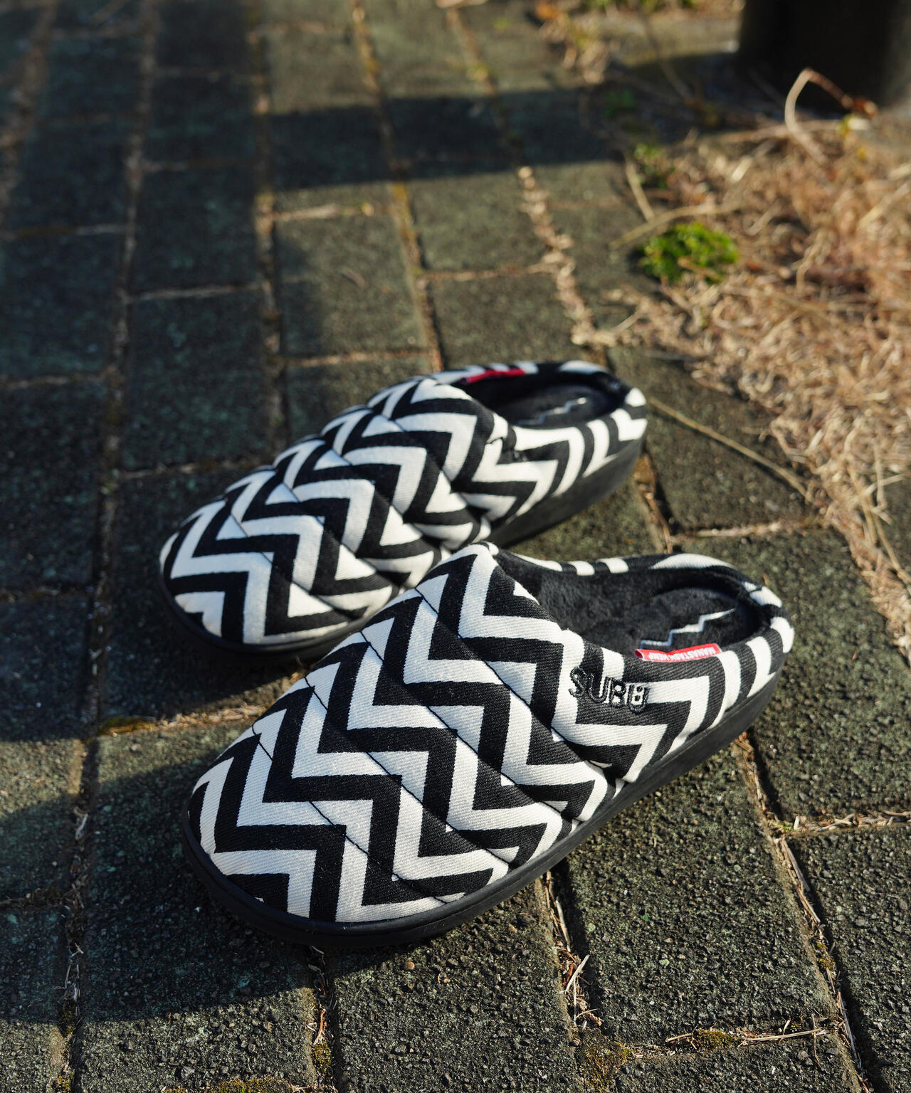 081d940c-0f71-5a5a-92e3-96264547a3ac_Image