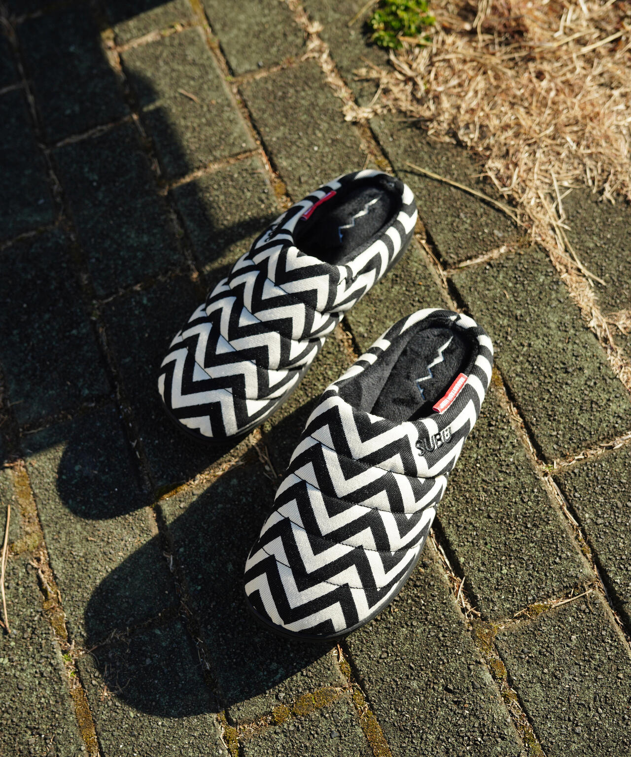 64ceaeee-5cd3-5a55-8573-987953c08bf6_Image