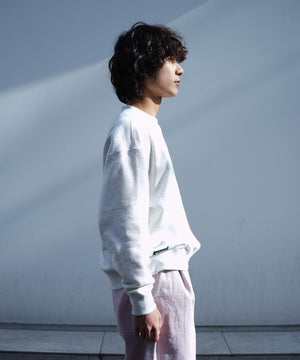 c2a36692-8106-5852-9271-5a01ad75215b_Image